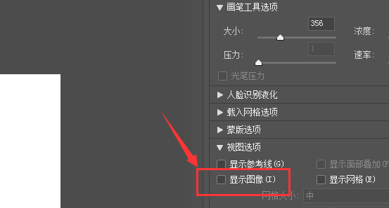 Photoshop出现液化窗口不显示图片的操作流程