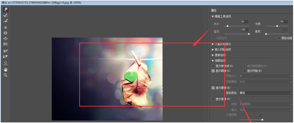Photoshop出现液化窗口不显示图片的操作流程