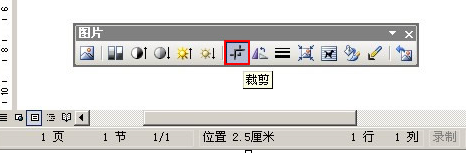 Word中使用裁剪功能的详细教程操作