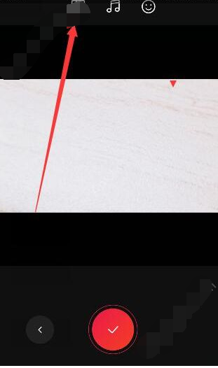 vue将原视频静音的基础操作