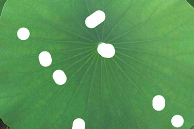 Photoshop制作水滴效果的具体操作教程