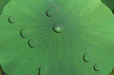 Photoshop制作水滴效果的具体操作教程