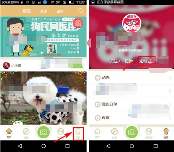 铃铛宠物APP添加宠物的操作过程
