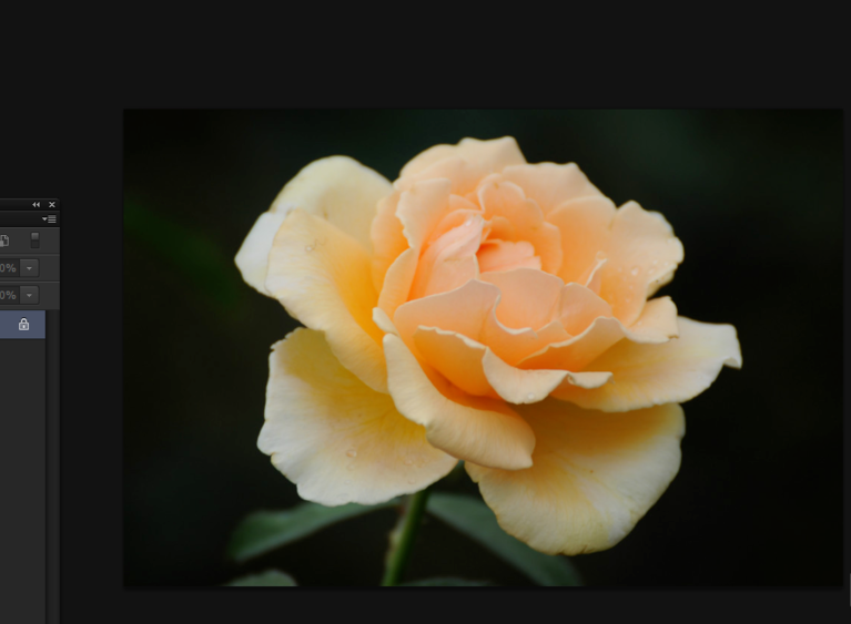 Photoshop使用抓手工具的相关操作方法