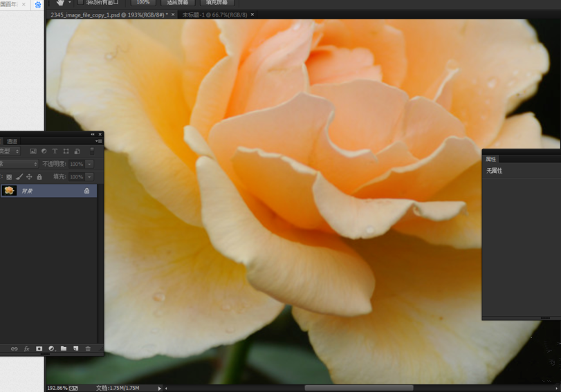Photoshop使用抓手工具的相关操作方法