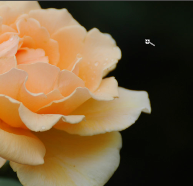 Photoshop使用抓手工具的相关操作方法