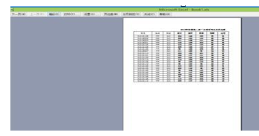 Excel设置打印格式的相关使用教程