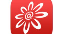 掌上生活设置免密支付的简单操作