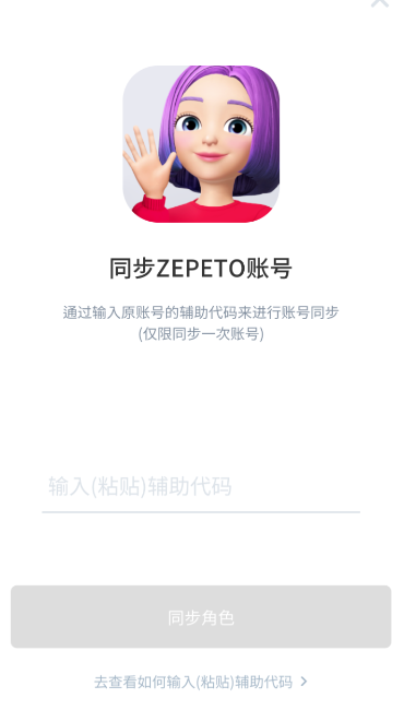 崽崽辅助代码使用的方法讲解