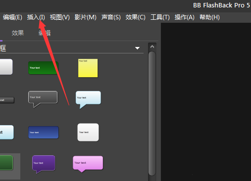 BB FlashBack给视频添加字幕的相关操作教程