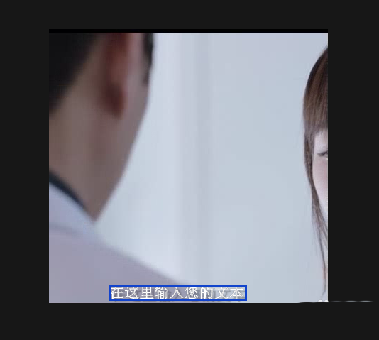 BB FlashBack给视频添加字幕的相关操作教程