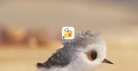 酷我音乐2013下载无损音乐的详细使用介绍