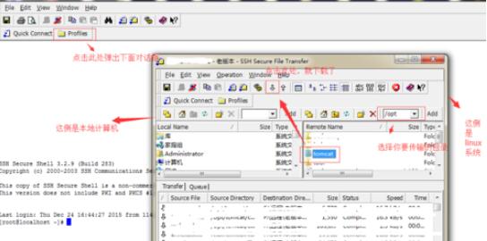 SSH Secure Shell工具从linux中导出文件的操作方法