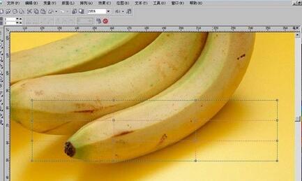 使用CorelDraw制作逼真香蕉图形的具体步骤