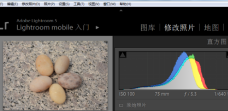 lightroom中将面板字体大小更改的操作教程