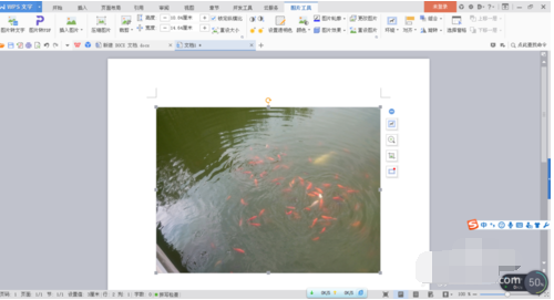 word软件常见操作步骤