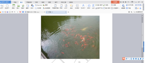 word软件常见操作步骤