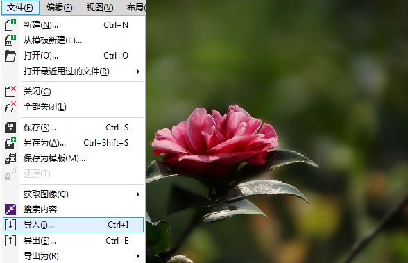 CorelDRAW X7快速制作雨天与雪天的操作教程