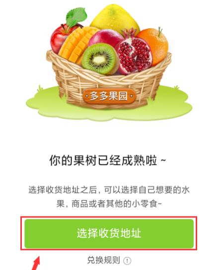 拼多多果园水果成熟后怎么兑换水果?多多果园水果成熟后兑换水果的方法