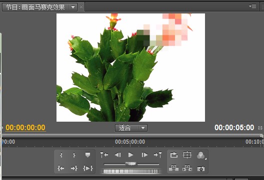 premiere实现画面马赛克效果的图文操作