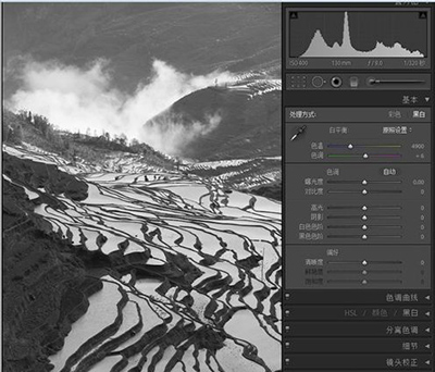 lightroom用色调曲线修图的详细教程分享