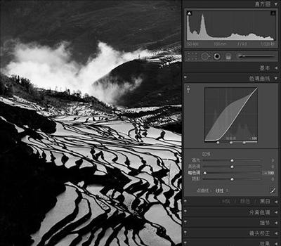 lightroom用色调曲线修图的详细教程分享