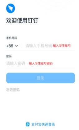 钉钉学生账号怎么注册 钉钉学生账号注册方法
