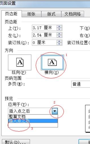 word2003将任意页调整为横向的具体方法