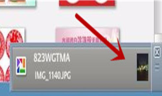 Google Picasa查看检索图片的操作方法