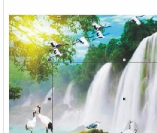 CorelDraw2020如何剪切图片？CorelDraw2020剪切图片的方法