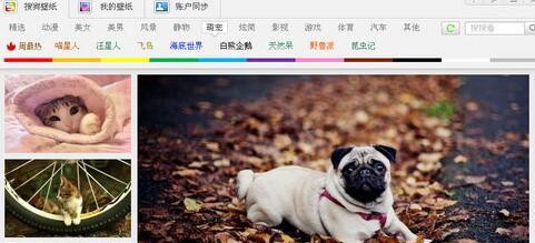 搜狗壁纸下载图片的详细步骤