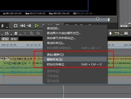 Edius剪辑时看不到画面的处理方法