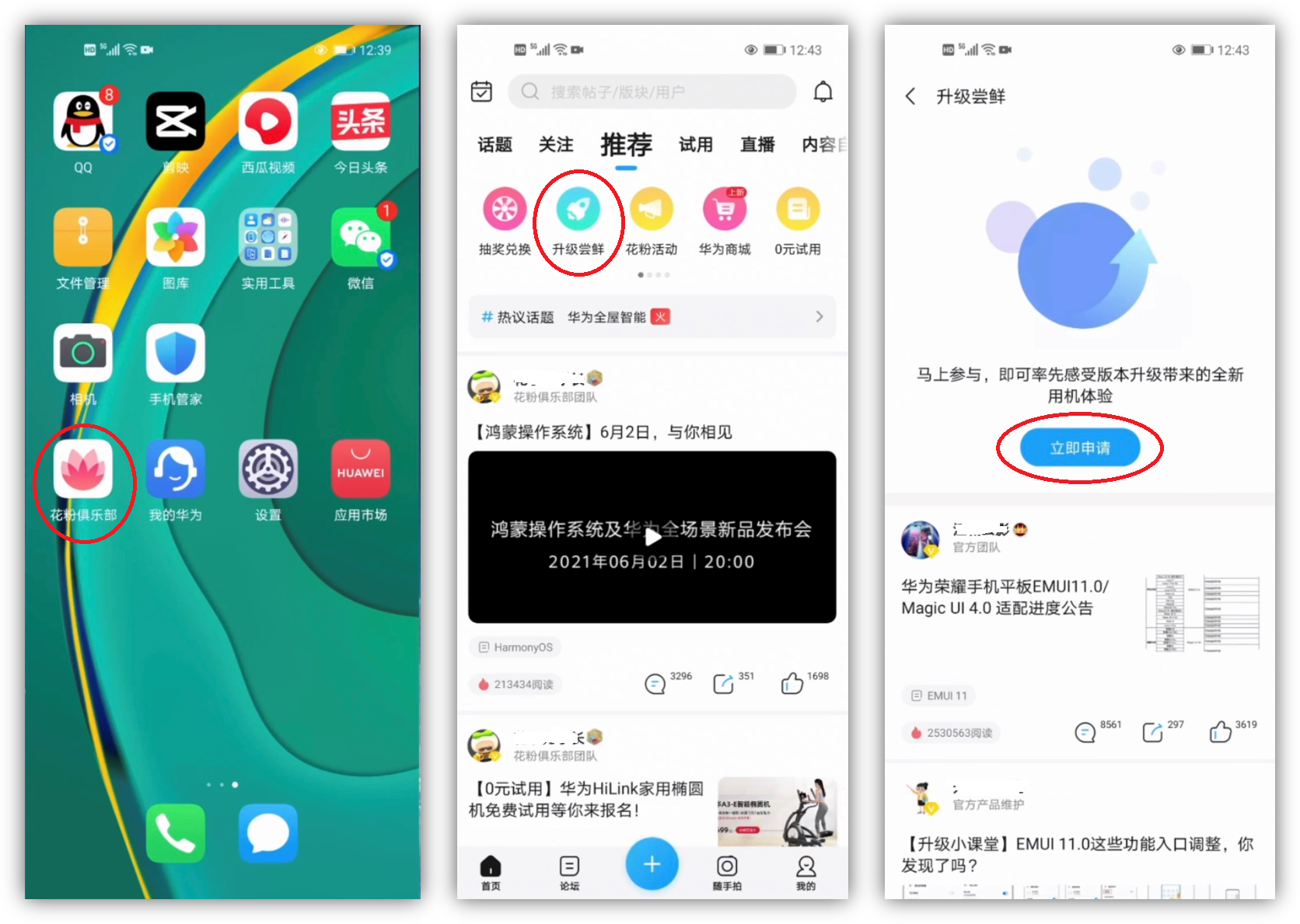 华为升级鸿蒙系统方法汇总 华为手机各型号升级鸿蒙系统教程