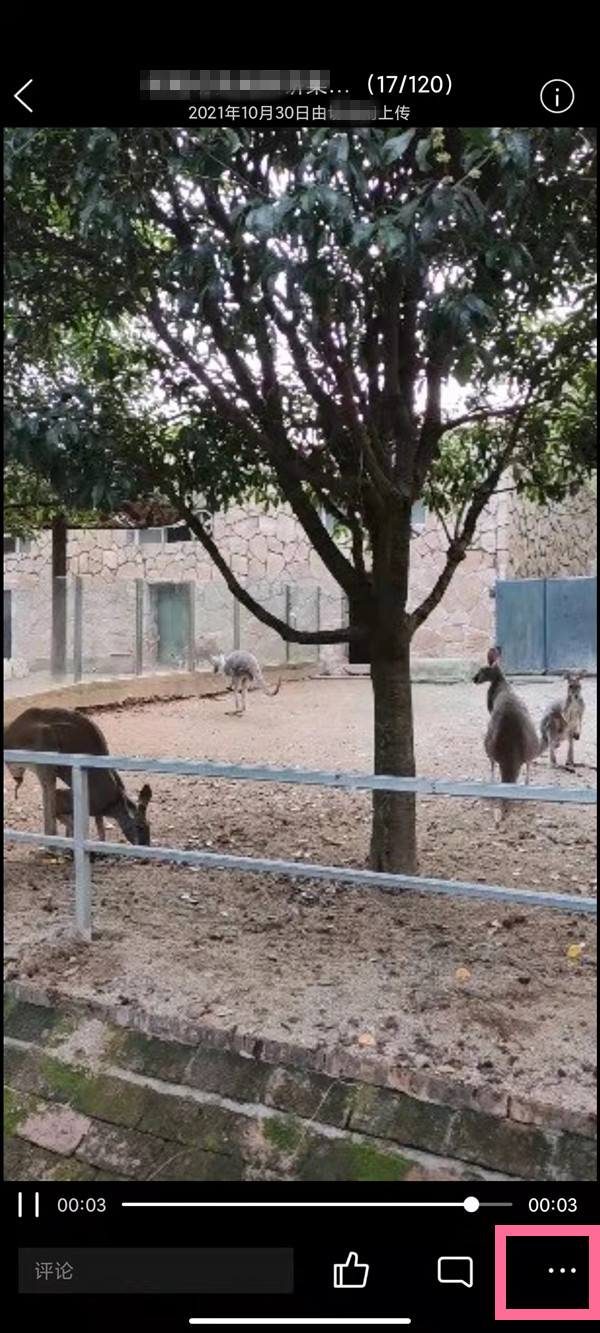 qq空间相册视频如何保存到手机？qq空间相册视频保存到手机的方法