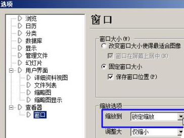 ACDsee打开图片后会自动缩放图片的处理方法