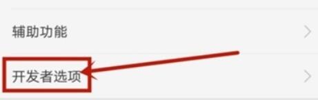 realme Q开启开发者选项的方法步骤