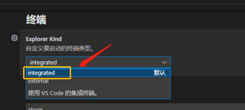 Vscode怎么自定义终端类型？Vscode自定义终端类型方法