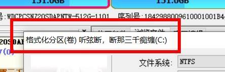 DiskGenius如何格式化分区?DiskGenius格式化分区的方法