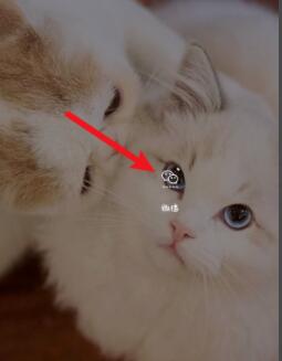 微信健康码怎么更换本人 微信健康码更换本人教程