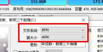 DiskGenius如何格式化分区?DiskGenius格式化分区的方法