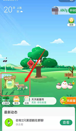 蚂蚁森林巡护动物怎么换?蚂蚁森林换巡护动物的教程步骤