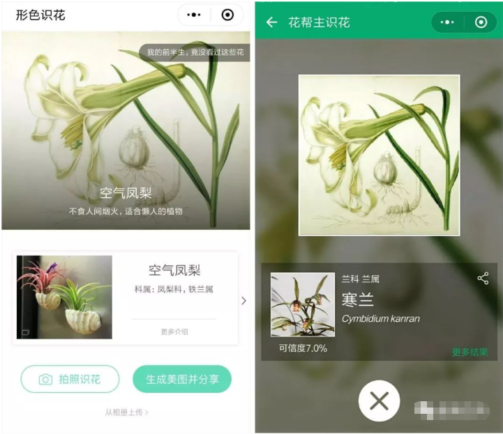 关于这些微信小程序一点都不鸡肋。