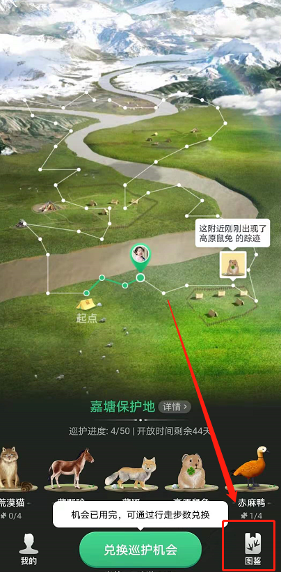 蚂蚁森林巡护动物怎么换?蚂蚁森林换巡护动物的教程步骤