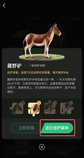 蚂蚁森林巡护动物怎么换?蚂蚁森林换巡护动物的教程步骤