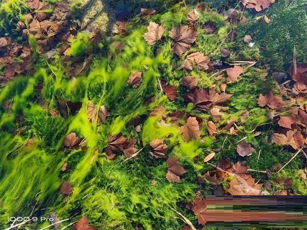 iQOO9Pro摄像头怎么样?iQOO9Pro摄像头介绍