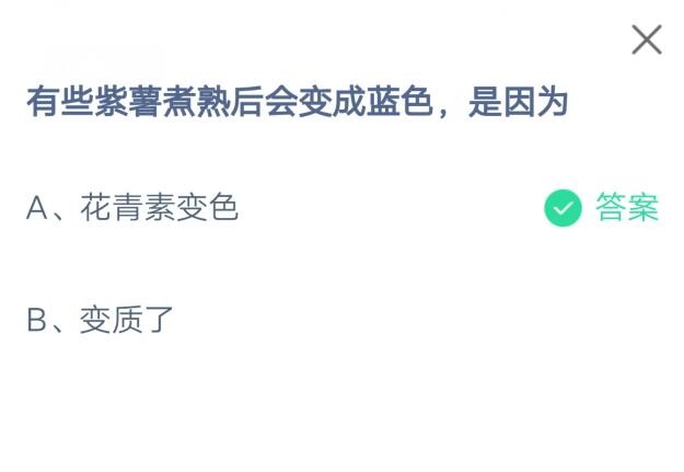 有些紫薯煮熟后会变成蓝色，是因为?支付宝蚂蚁庄园7月9日答案