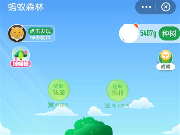 支付宝怎么获得蚂蚁森林能量？支付宝获得蚂蚁森林能量的方法