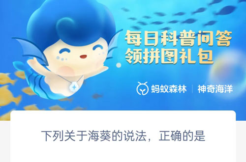 下列关于海葵的说法正确的是