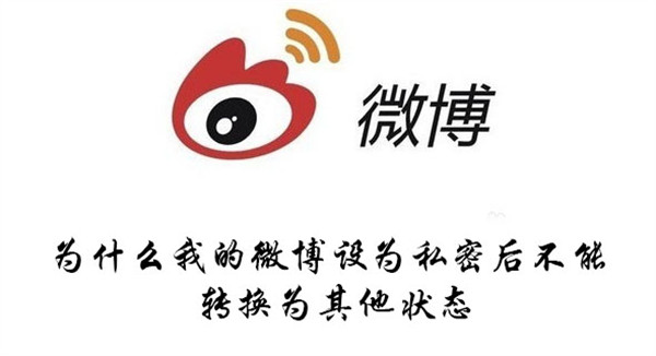 为什么我的微博设为私密后不能转换为其他状态