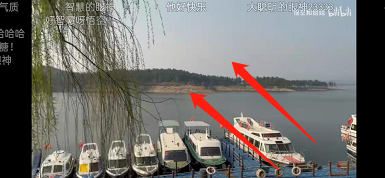 哔哩哔哩如何双击关闭弹幕？哔哩哔哩双击关闭弹幕方法步骤